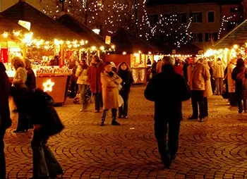 Market Organiser Insurance